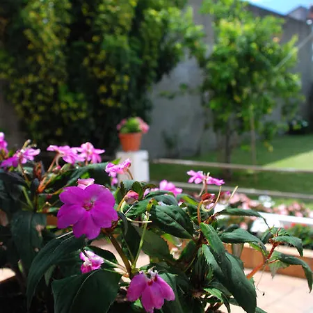 Penzion As Vinas O Grove