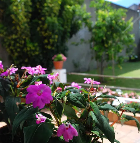 招待所 As Vinas 格罗韦